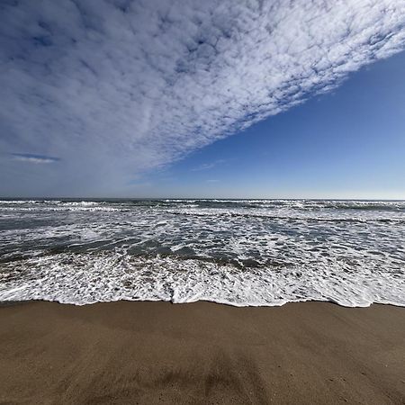 Studio Calme Et Moderne A 300M De La Plage -1- 卡内 外观 照片
